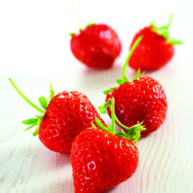 Fraises - Sicodis