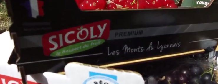 La coopérative SICOLY